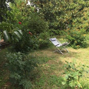 Garden in Meta