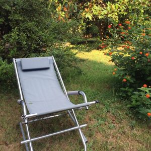Garden in Meta
