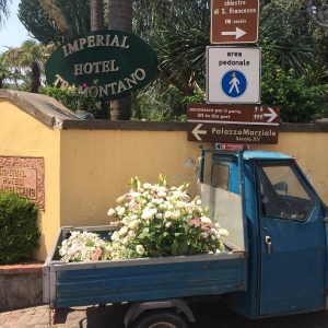Flowers in Sorrento
